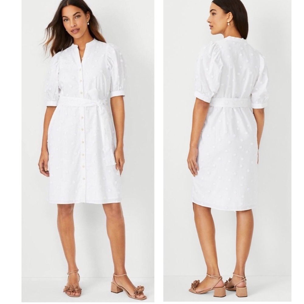 NWT Ann Taylor White Floral Appliqué Tie Waist Shirtdress - Picture 3 of 16